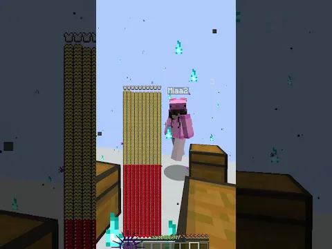 TENGO UN... PALO? 🤫😹 #minecraft #laos