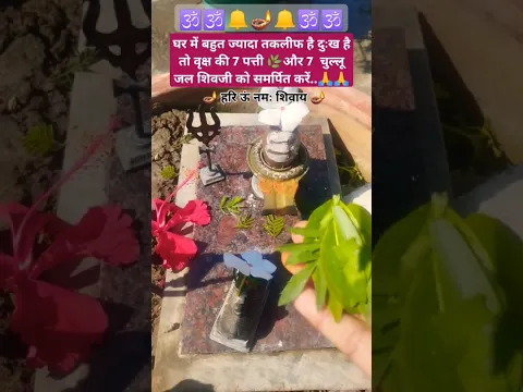 घर के सारे दुःख तकलीफ को दूर करने हेतु  उपाय 7 वृक्ष की पत्ती 7 चुल्लू जल शिवलिंग पर अवश्य समर्पित