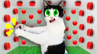 Кошка 24 ЧАСА управляет нашей ЖИЗНЬЮ + 100 КНОПОК ЧЕЛЛЕНДЖ