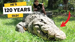 World's Oldest Crocodile: Meet 124-Year-Old HENRY!