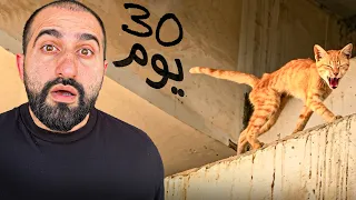 قطة محبوسة تحت جسر لمدة ٣٠ يوم !