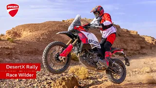 Ducati DesertX Rally | Race Wilder