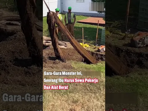 Tarik Paksa Monster 30 Meter