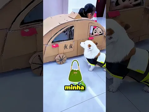 Passeio de Táxi com Meu Amor Gato.. 🐱🚕