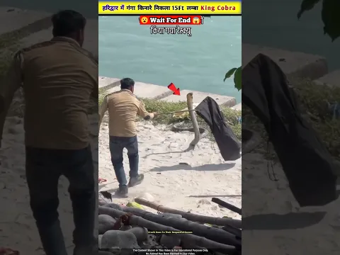 गंगा किनारे से किया 15 फीट लंबा किंग कोबरा का Rescue 😱🐍