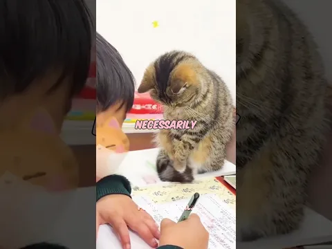 Your mom has no excuse now 🐈✨