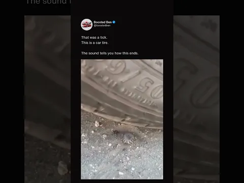 A Tick vs a Car Tire #automobile #funny #wtf #shorts