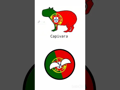 Капибара на разных языках #countryballs #memes #animation