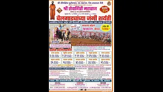 हिंदकेसरी मैदान पुसेगाव श्री.सेवागिरी महाराज यात्रेनिमित्त भव्य ओपन बैलगाडी शर्यत पुसेगाव ता. खटाव