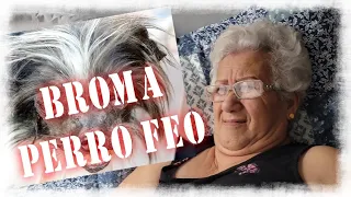 Broma Del Perro Feo A Mi Ama | Rosa y Jaime