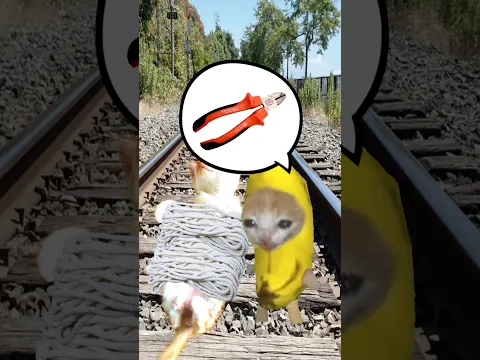 The Story of Banana Cat😹🍌#12｜Help Cat😻