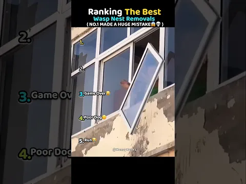 Ranking Best Wasp Nest Removals🐝🤯