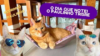 O DIA QUE NOTEI O PAULINHO TRISTE 🥺