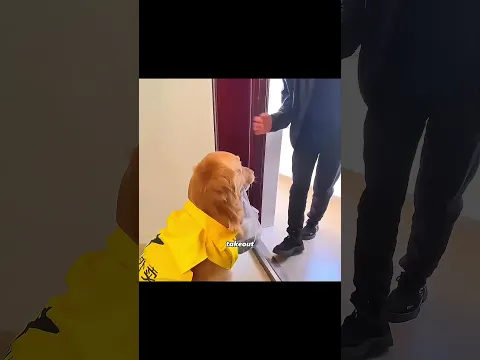 The Smartest Dog Ever Wins Every Challenge… But Secretly Becomes a Hero 🐶❤️