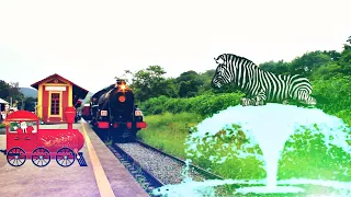zebra vs eagle