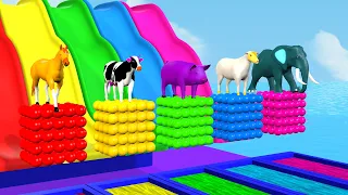 Paint Animals With Horse Cow Pig Goat Elephant - Animal Animation - Funny Cartoon