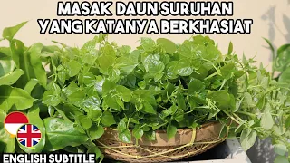 Masak DAUN yang Katanya Berkhasiat | DAUN SURUHAN
