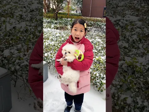 The Cat Wanted to Play in the Snow… Big Mistake!