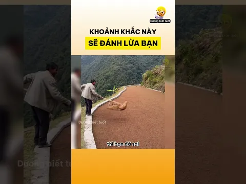 Những khoảnh khắc này sẽ đánh lừa bạn