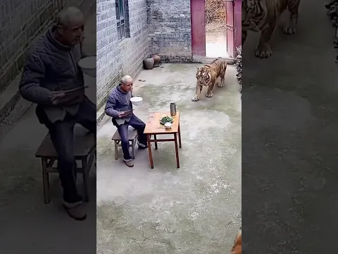 “Family’s Guardian Angel Dog”#dog #pets #shorts “                 Video Content Intended for Adults”