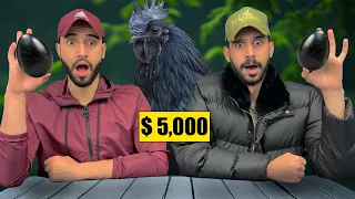 صيد وطبخ أغلى فرخة في العالم - لكن اتصدمنا 😱