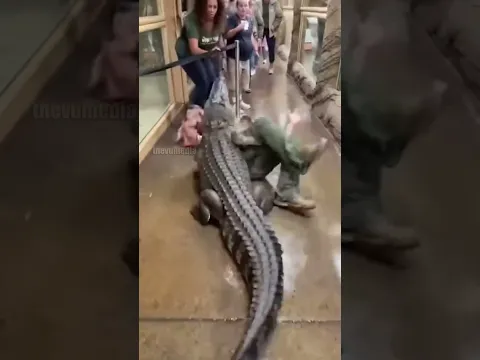 Terrifying Moment: Saltwater Crocodile Smashes Through Tempered Glass at Brisbane Sanctuary #animals