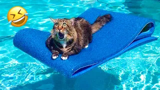 These Funny Animals Will Cheer up Your Day And Make it Brighter 🥰