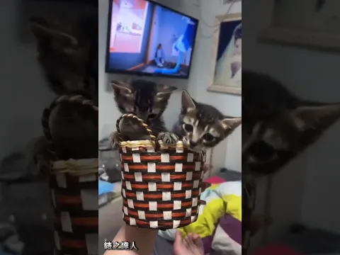 各自安好