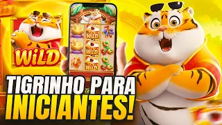 JOGO DO TIGRINHO TUTORIAL PASSO A PASSO PARA INICIANTES COMO JOGAR NO JOGO DO TIGRINHO!