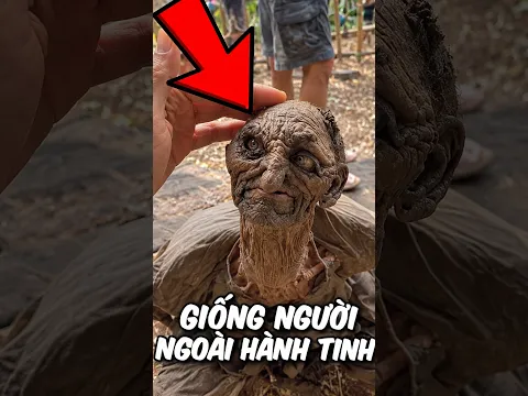 Top những chú rùa quái dị nhất hành tinh 🐢 #shorts  #giaitri #thegioidongvat #dongvat #khampha