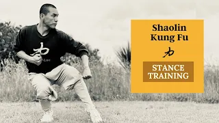 Kung Fu Stances Training - Strength, Transition Speed & Power