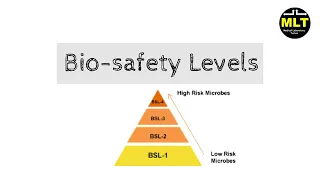 Biosafety Level 1 2 3 4 in hindi || Biosafety level easy explanation