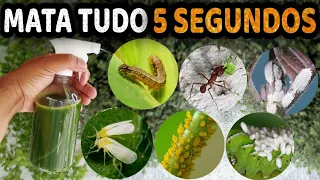 MATA Pulgão, Cochonilha, Formiga, Lagarta, Mosca Branca, Ácaro, Trips (Não Gasta Nada)