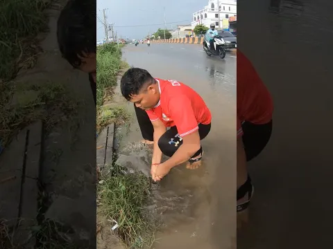 This Culvert Possible For Drain Again #unclog #clean #drain #shorts