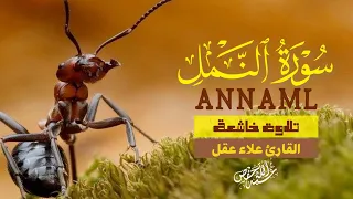 تلاوة خاشعة سورة النمل بصوت خاشع يريح القلب علاء عقل |ANNAML BY ALAA AQEL