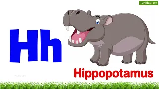 A to Z Phonics Sound | English Alphabet Sounds | Animals Theme | Pebbles Live i Phonics Animals