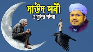 দাউদ নবী ও বুড়ি মহিলার হৃদয়স্পর্শী বিচার | ন্যায়বিচারের অনন্য ঘটনা | Maolana Mozammel Haque Said