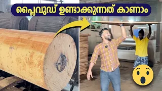 പ്ലൈവുഡ് ഉണ്ടാക്കുന്നത് എങ്ങനെ എന്നറിയാമോ?, വീഡിയോ കാണാം | How Plywood is made?