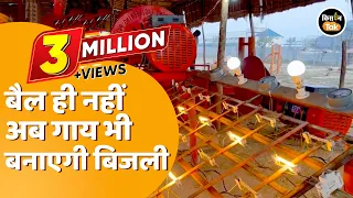 सिर्फ बैल ही नहीं इस मशीन के जरिए गाय से भी बन सकती है बिजली | Kisan Tak