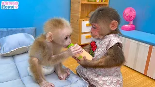 BiBi Monkey helps dad take care of baby monkey OBi Satisfying video Funny Animails Relaxing