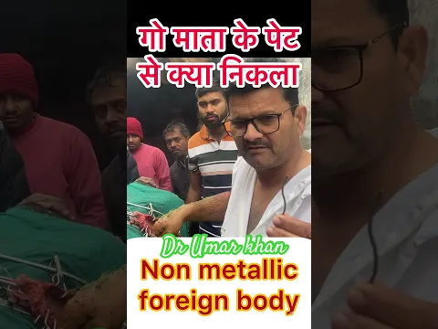Rumenotomy l Recurrent Tympani l bloat l dr Umar khan