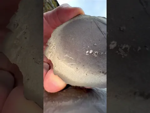 185 Million-Year-Old Fossil found!💰🤑