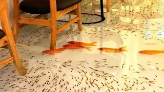 😱 15 வினோதமான Hotels |  Strange Hotels in the world | Facts in Tamil | Fact Force Tamil