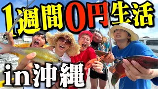 沖縄で1週間０円生活は過去最強で地獄でした＃1【1週間0円生活】