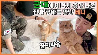 (ENG) 군대에서 또 다시 휴가 나온 집사 형아! 이번에도 고양이 베니는 삐졌을까요?!