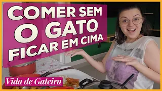 Almoçando com Gatos | Vida de Gateira #28