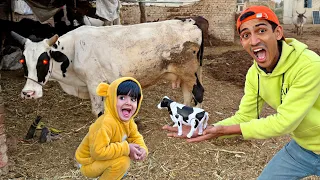My Brother Found Bull Baby 😍| Pumpi Ko Bull Ka Dhoodh Peena hai 😂|