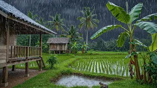 No Ads Rain Sounds for Sleeping - ASMR Rain and Thunder Sounds For Sleeping, Relaxing