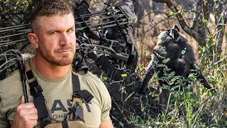 37 Insane Bow Hunts in 17 mins W/ BEAST Broadheads