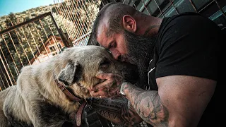 Wir haben einen Kangal von der Kette befreit!